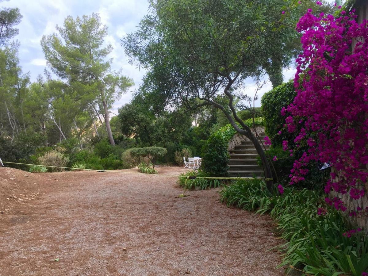 Villa Magali Sanary-sur-Mer Dış mekan fotoğraf